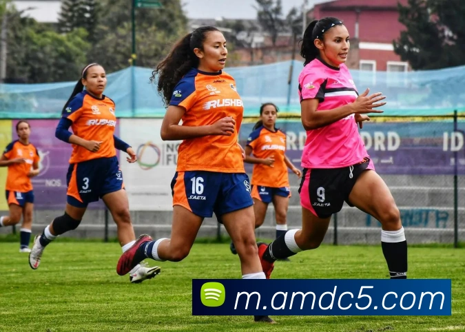 皇家赌场hjdc发展历程